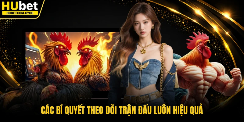 Các bí quyết theo dõi trận đấu luôn hiệu quả